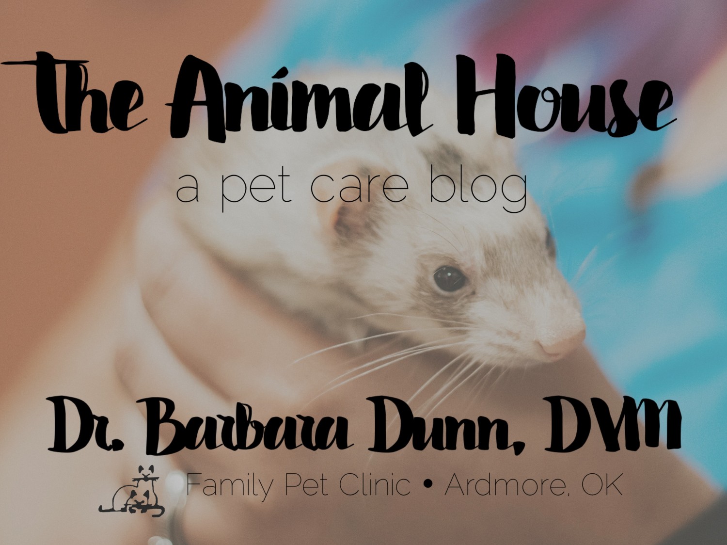 Animal House Blog